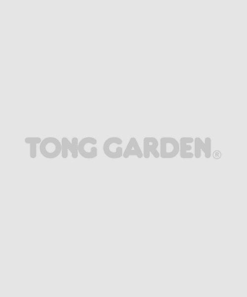 Tong Garden 8 in 1 Fruit Mix Healthy Dried Fruit Snack